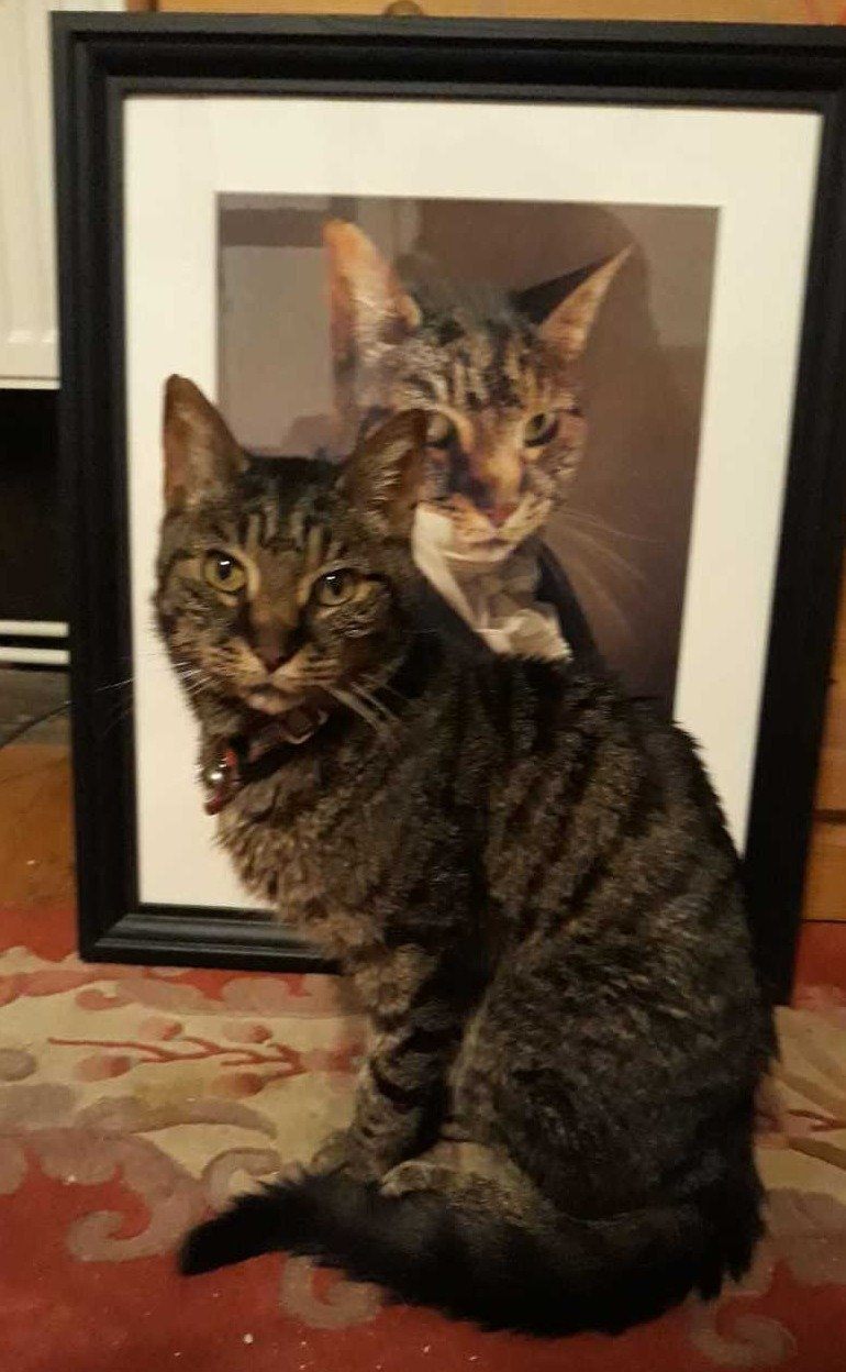 El Duque - póster con impresión de calidad de 250 g