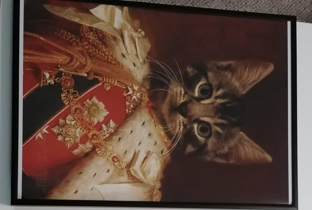 Der König von England -  Poster auf 250g Qualitätsdruck