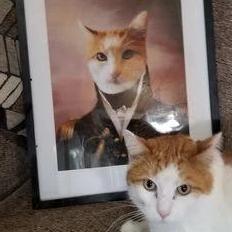 El Oficial - Póster con impresión de calidad de 250g