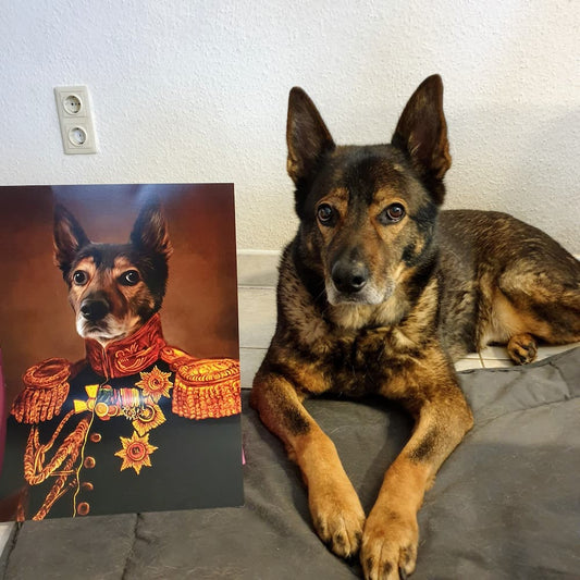 El veterano - póster con impresión de calidad de 250 g