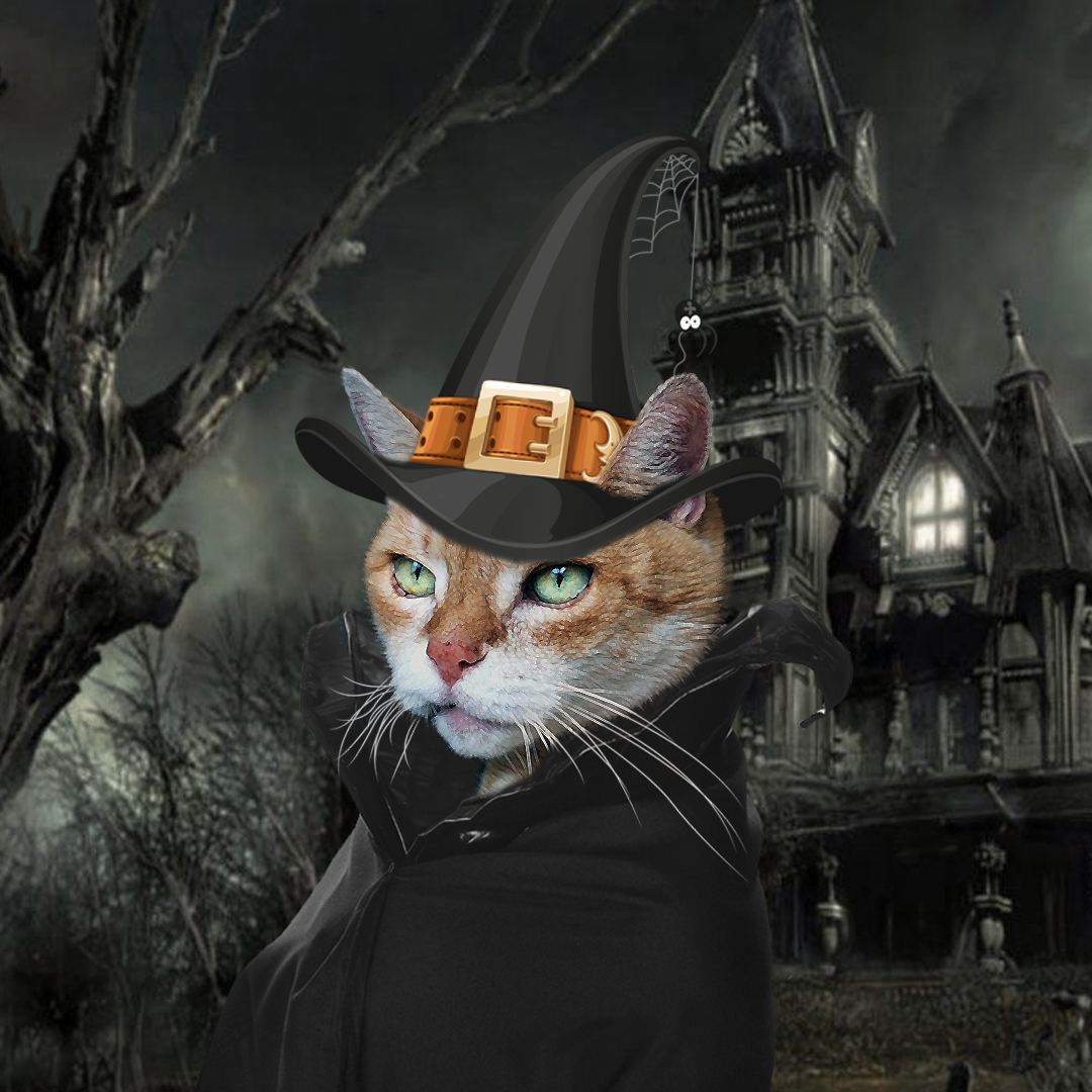 deine Katze zu Halloween als Hexe malen lassen