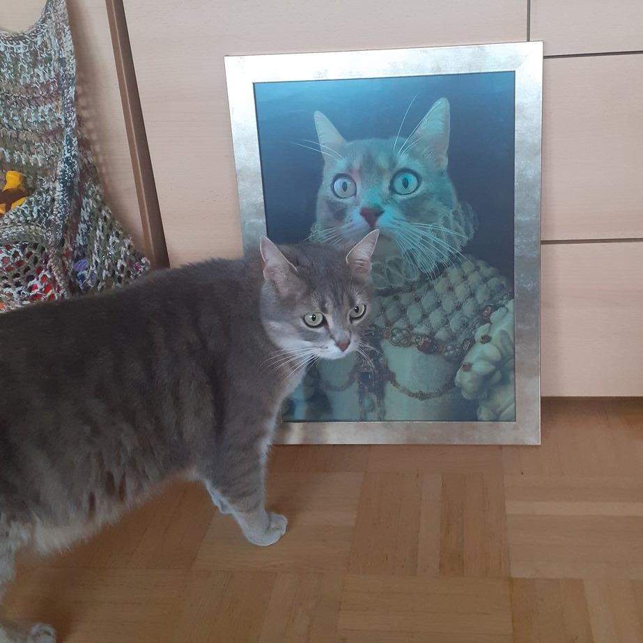 Die Königin -  Poster auf 250g Qualitätsdruck