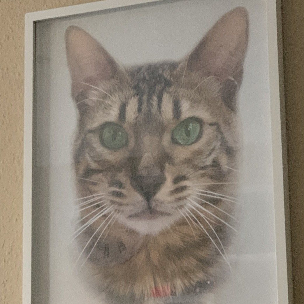 Klassisches Porträt - Poster auf 250g Qualitätsdruck