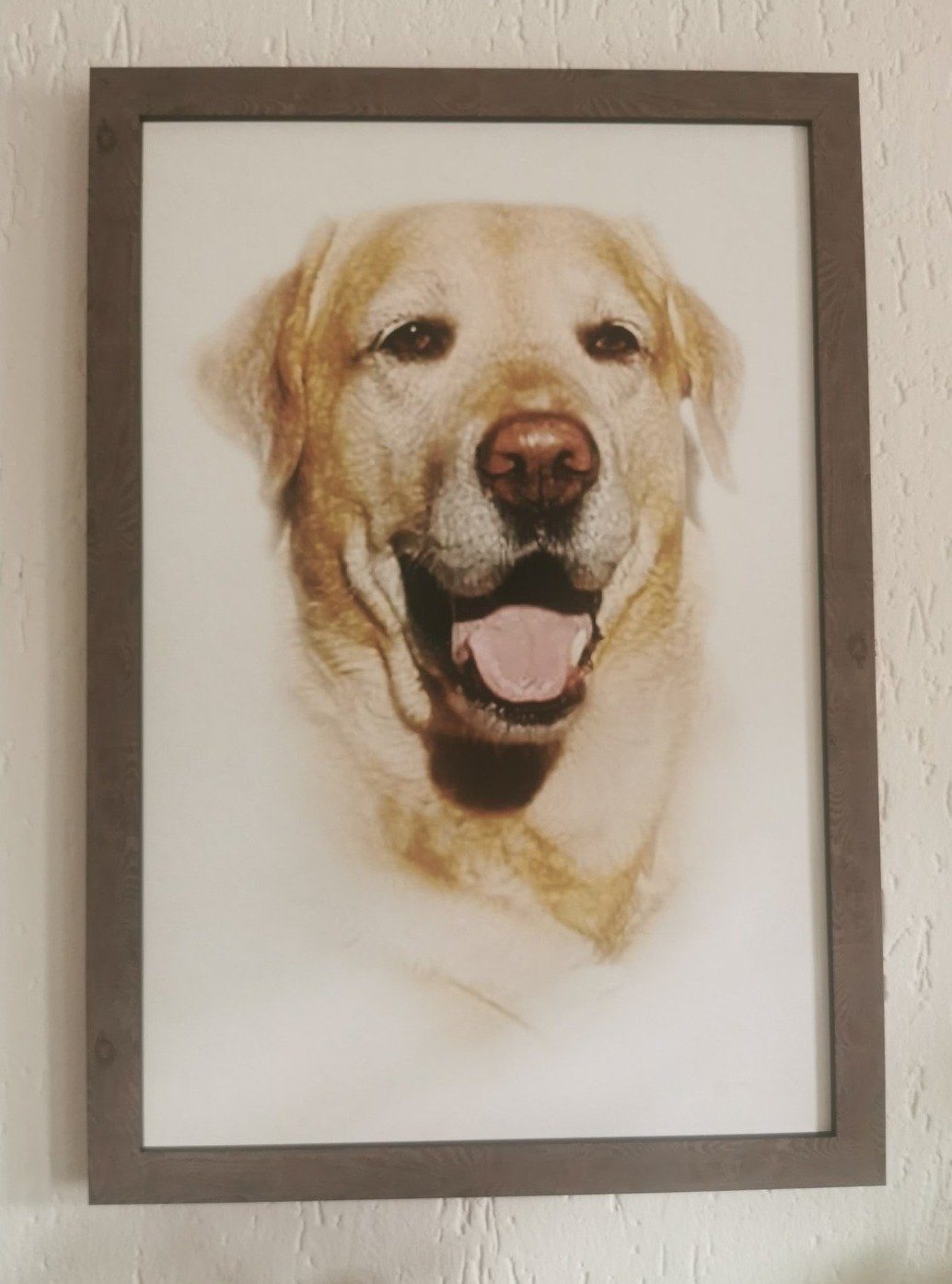 Klassisches Porträt - Poster auf 250g Qualitätsdruck