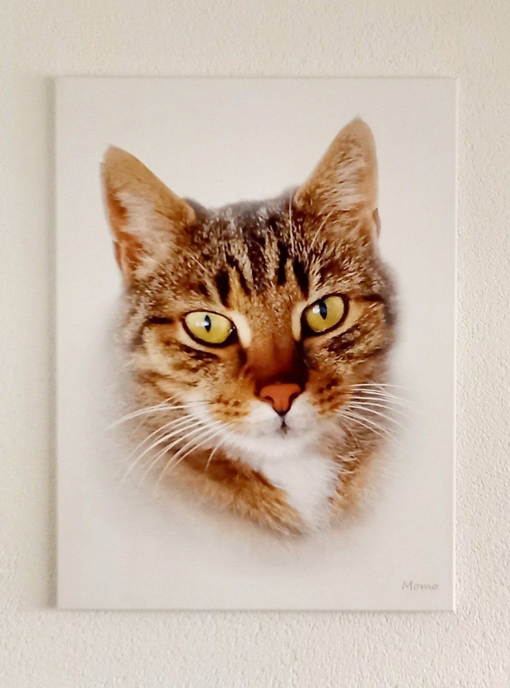 Klassisches Porträt - Poster auf 250g Qualitätsdruck