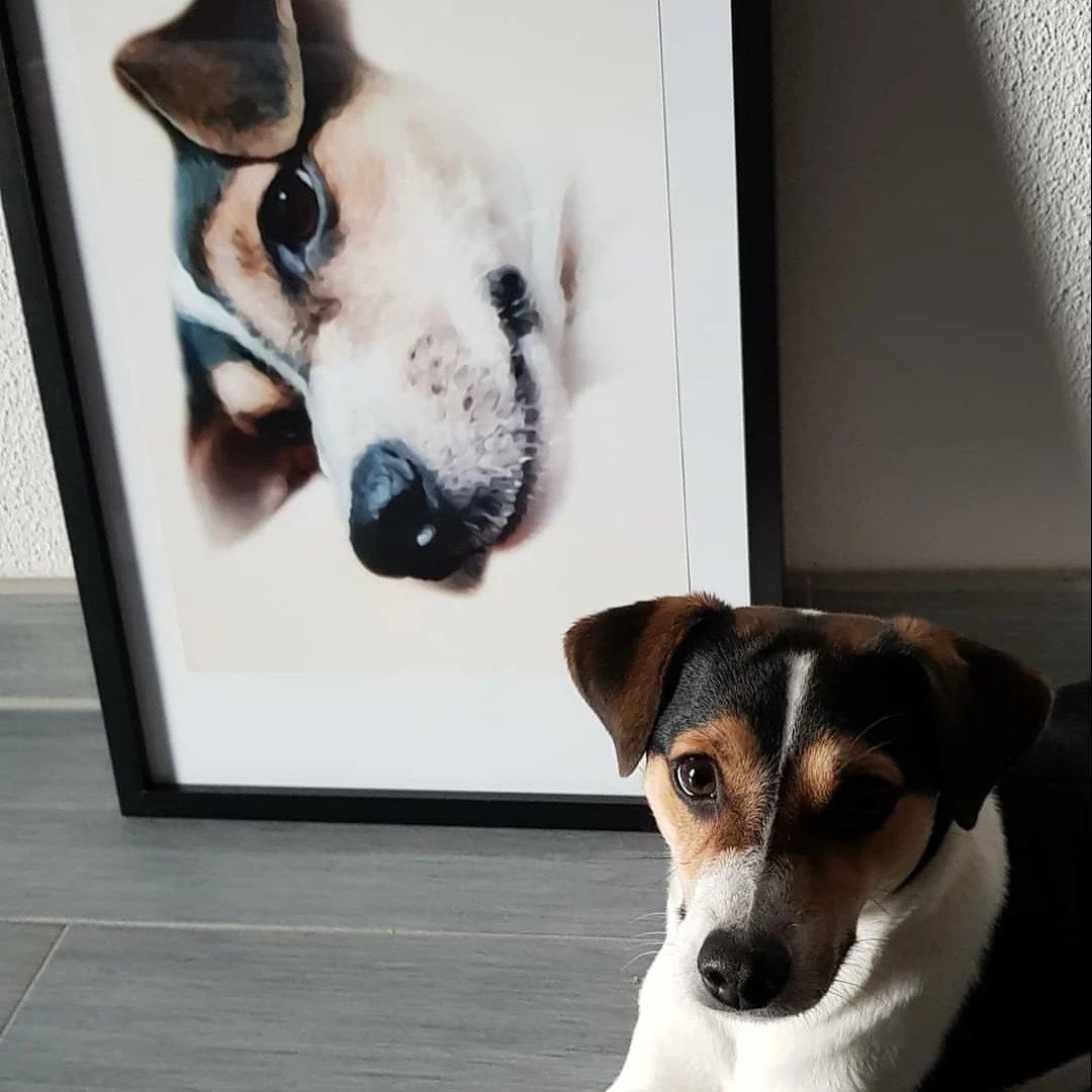 Klassisches Porträt - Poster auf 250g Qualitätsdruck