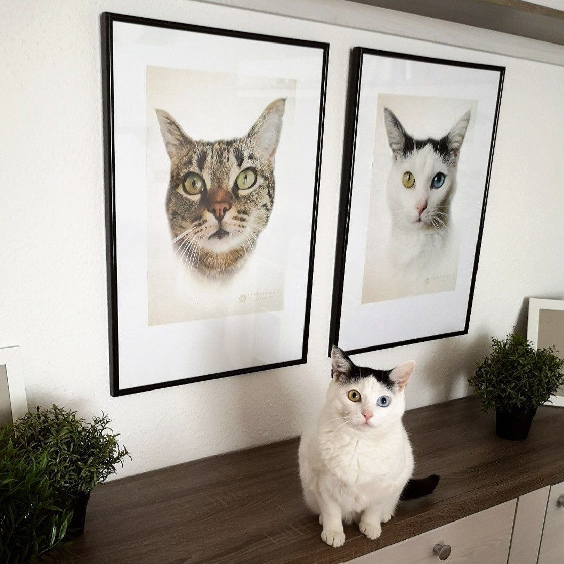 Klassisches Porträt - Poster auf 250g Qualitätsdruck