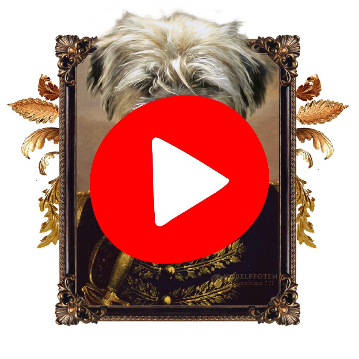 https://www.youtube.com/watch?v=DhjeQhCFlGw
